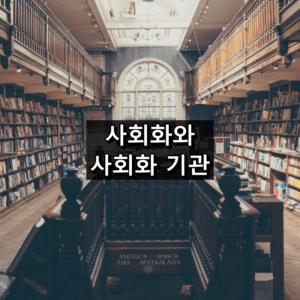 사회화와 사회화 기관 개념