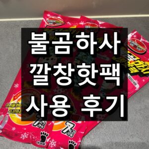 불곰하사 깔창핫팩 1개월 사용 후기