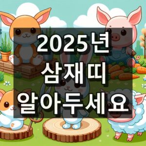 2025년 삼재띠