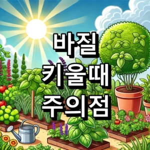 바질 키울때 주의점 대표 이미지