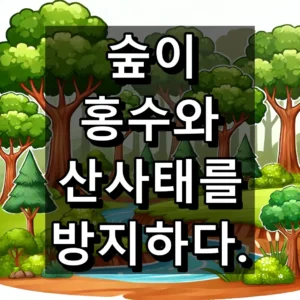 숲이 홍수와 산사태를 막아 주는 증거