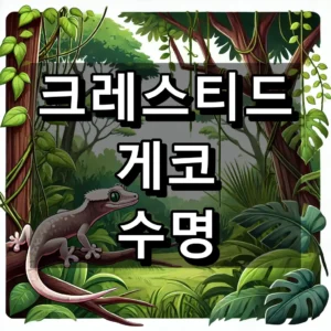 크레스티드 게코 수명 대표 이미지