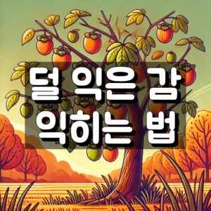 덜 익은 감 익히는 방법 대표 이미지